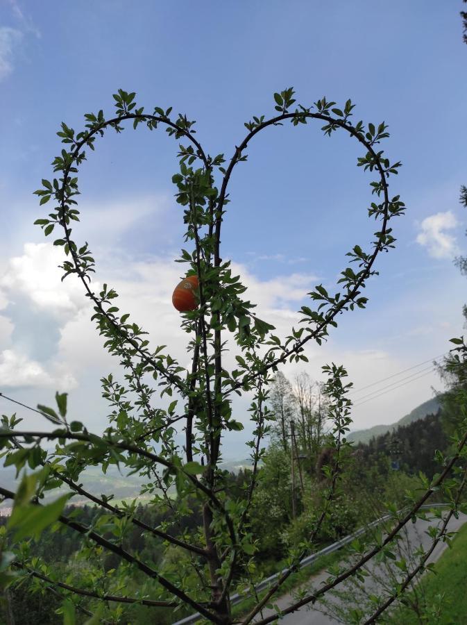 Bed and Breakfast Smucarska Koca Kotlje Exteriér fotografie